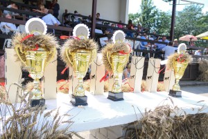 Konjičke trke - 4. dan