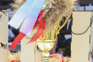 Konjičke trke - 4. dan