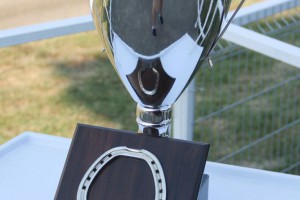 Konjičke trke - 6. dan (91. srpski kasački derbi)