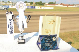 Konjičke trke - 6. dan (91. srpski kasački derbi)