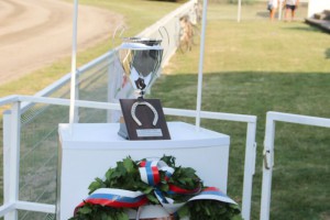 Konjičke trke - 6. dan (91. srpski kasački derbi)