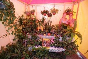 Noć subotičkih pijaca