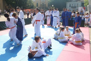 Zavičajni festival sporta 2018