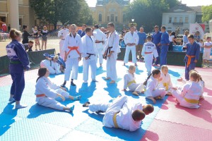 Zavičajni festival sporta 2018