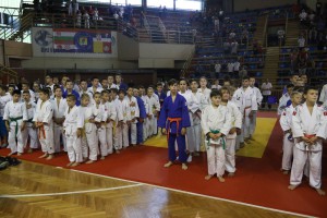 VII međunarodni džudo turnir „Dan grada Subotice“