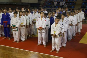 VII međunarodni džudo turnir „Dan grada Subotice“