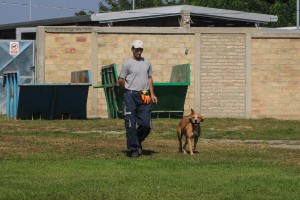 Poseta prihvatilištu za pse