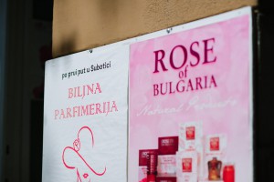 Biljna parfimerija "Damascena" (Bugarska ruža)