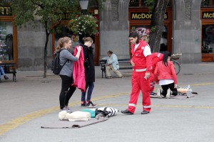 Manifestacija "Pokrenimo srce"