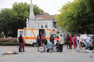 Manifestacija "Pokrenimo srce"
