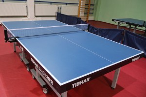 Stoni tenis: Spartak - Temerin