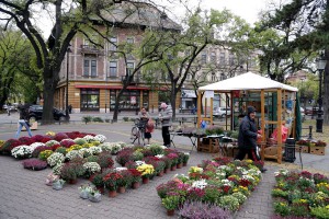 Jesenja manifestacija cveća "Garden flora"