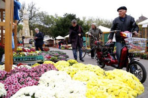 Jesenja manifestacija cveća "Garden flora"