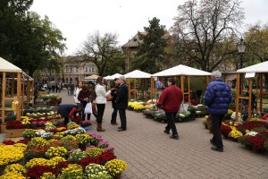 Jesenja manifestacija cveća "Garden flora"