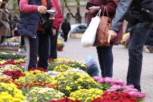 Jesenja manifestacija cveća "Garden flora"