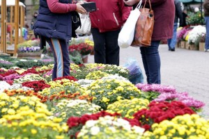 Jesenja manifestacija cveća "Garden flora"