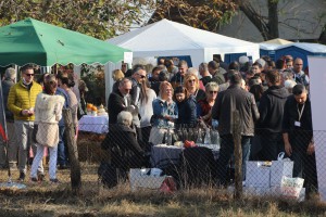 XI Festival mlade rakije