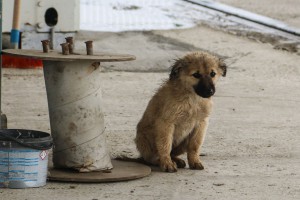 Obilazak Regionalne deponije