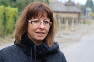 Novi zasad drvoreda u Jezerskoj ulici