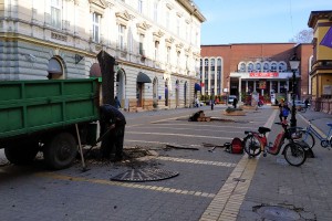 Nastavak vađenja starih lipa sa Korzoa