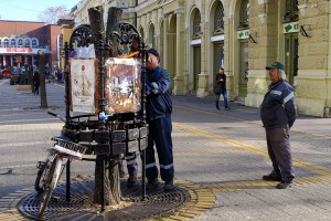 Nastavak vađenja starih lipa sa Korzoa