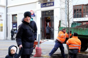 Sadnja novih sadnica lipe