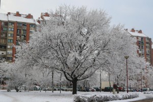 Zgrada u Ulici Lovre Bračuljevića 45