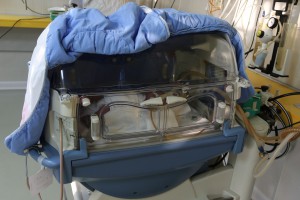 Obilazak "trojki" u subotičkom porodilištu