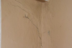 Životna priča: Danijela Pejić - život u mraku nemaštine