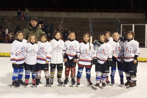 Hokej na ledu: Spartans 2019