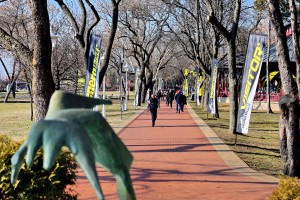 Prezentacija "Cycle show 2019" kompanije Venera Bike