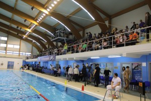 Vaterpolo: Srbija - Rumunija