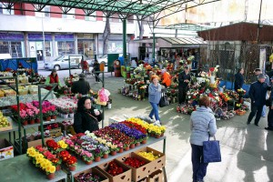 Mlečna pijaca - Cvetni blok