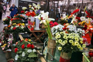 Mlečna pijaca - Cvetni blok