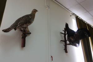 Prezentacija javnih poziva Nacionalne službe za zapošljavanje