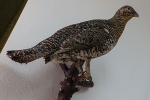 Prezentacija javnih poziva Nacionalne službe za zapošljavanje