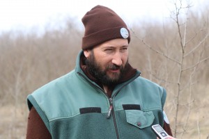 Brojanje šafranjike