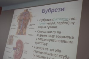 Konferencija za medije povodom Svetskog dana bubrega