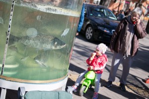 Otvaranje manifestacije "Dani ribe"