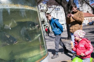 Otvaranje manifestacije "Dani ribe"