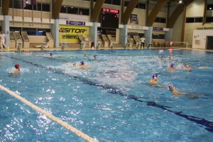 Vaterpolo: Spartak-Prozivka - Singidunum