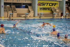 Vaterpolo: Spartak-Prozivka - Singidunum