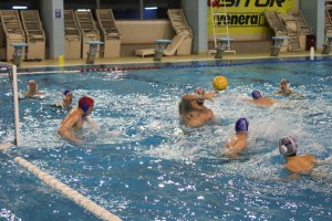 Vaterpolo: Spartak-Prozivka - Singidunum