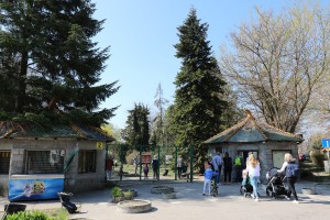 Dodela diploma i zahvalnica u okviru Likovnog konkursa "Mladunče lava"