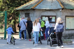 Dodela diploma i zahvalnica u okviru Likovnog konkursa "Mladunče lava"