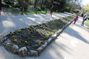 Dodela diploma i zahvalnica u okviru Likovnog konkursa "Mladunče lava"