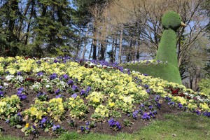 Dodela diploma i zahvalnica u okviru Likovnog konkursa "Mladunče lava"