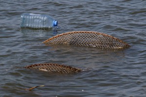 Selektivni izlov ribe u cilju zaštite biodiverziteta jezera Palić