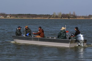 Selektivni izlov ribe u cilju zaštite biodiverziteta jezera Palić