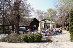 Uređivanje dečjeg igrališta u Zoo vrtu